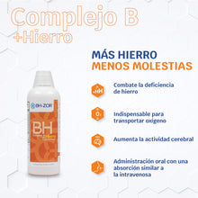 Cargar imagen en el visor de la galería, Complejo B + Hierro nanoliposomal